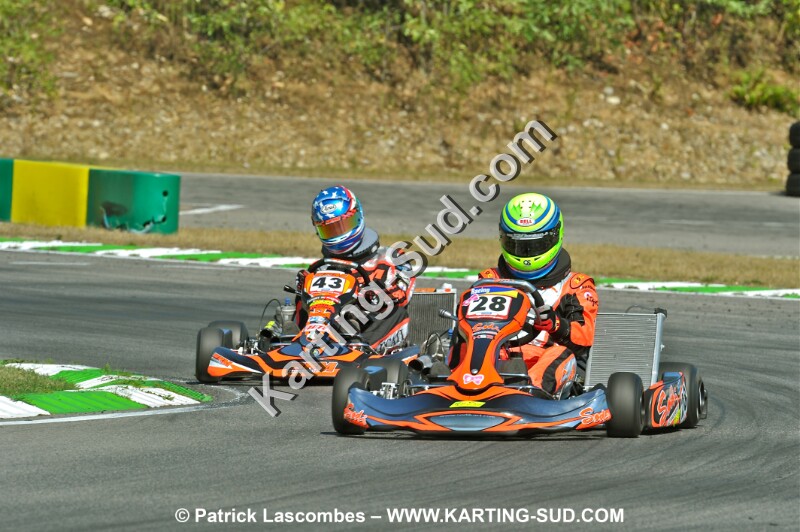 DSC_ (1033).JPG